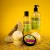 linia-spa-kids.webp